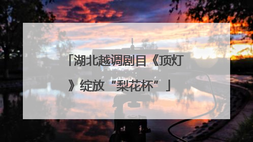 湖北越调剧目《顶灯》绽放“梨花杯”