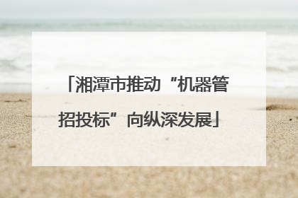 湘潭市推动“机器管招投标”向纵深发展