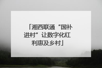 湘西联通“国补进村”让数字化红利惠及乡村