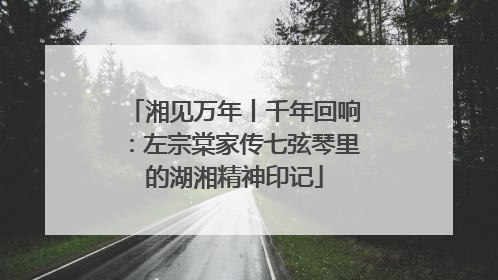 湘见万年丨千年回响：左宗棠家传七弦琴里的湖湘精神印记