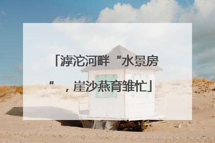 滹沱河畔“水景房”，崖沙燕育雏忙