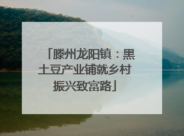 滕州龙阳镇：黑土豆产业铺就乡村振兴致富路