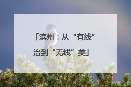 滨州：从“有线”治到“无线”美