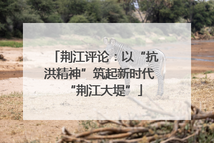 荆江评论：以“抗洪精神”筑起新时代“荆江大堤”