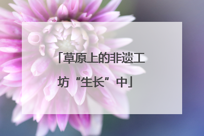草原上的非遗工坊“生长”中