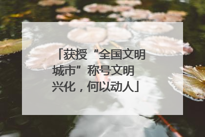 获授“全国文明城市”称号文明 兴化，何以动人