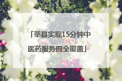 莘县实现15分钟中医药服务圈全覆盖