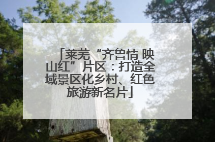 莱芜“齐鲁情 映山红”片区：打造全域景区化乡村、红色旅游新名片