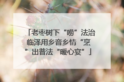 老枣树下“唠”法治 临泽用乡音乡情“烹”出普法“暖心宴”