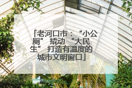 老河口市：“小公厕” 撬动 “大民生” 打造有温度的城市文明窗口