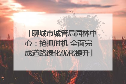 聊城市城管局园林中心：抢抓时机 全面完成道路绿化优化提升
