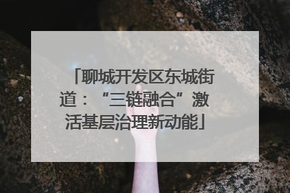 聊城开发区东城街道：“三链融合”激活基层治理新动能