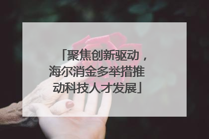 聚焦创新驱动，海尔消金多举措推动科技人才发展