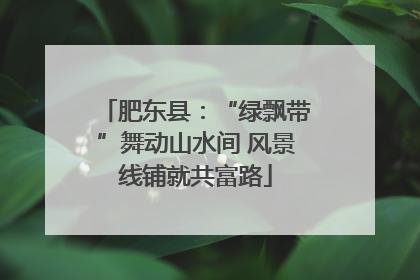 肥东县：“绿飘带”舞动山水间 风景线铺就共富路