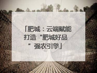 肥城：云端赋能 打造“肥城好品”强农引擎