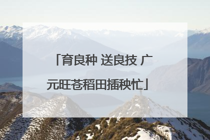 育良种 送良技 广元旺苍稻田插秧忙