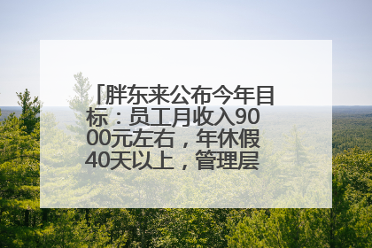 胖东来公布今年目标：员工月收入9000元左右，年休假40天以上，管理层人均分配70万元