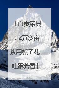 自贡荣县：2万多亩茶用栀子花吐露芳香