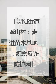 舞阳街道城山村：走进苗木基地，织密反诈防护网
