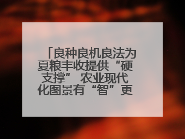 良种良机良法为夏粮丰收提供“硬支撑” 农业现代化图景有“智”更有“质”
