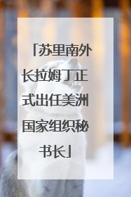 苏里南外长拉姆丁正式出任美洲国家组织秘书长