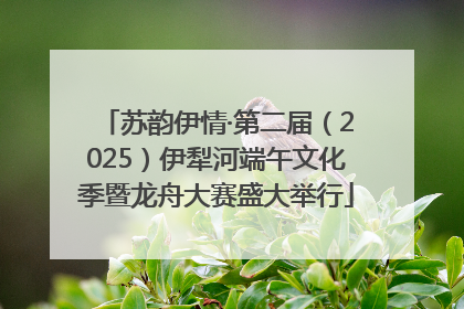 苏韵伊情·第二届（2025）伊犁河端午文化季暨龙舟大赛盛大举行