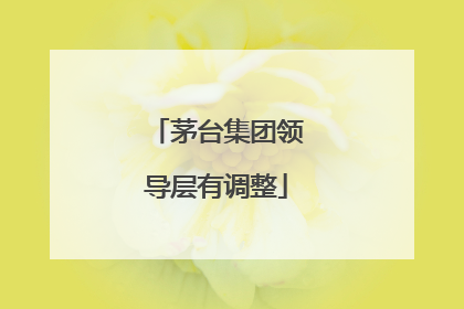 茅台集团领导层有调整