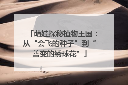 萌娃探秘植物王国：从“会飞的种子”到“善变的绣球花”