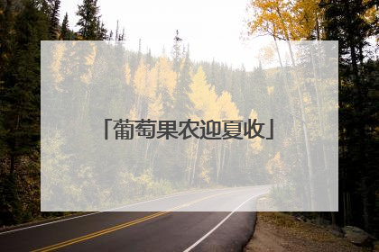 葡萄果农迎夏收