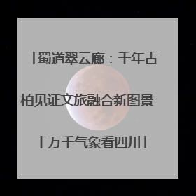 蜀道翠云廊：千年古柏见证文旅融合新图景丨万千气象看四川