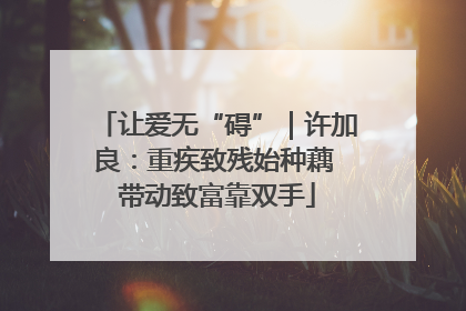 让爱无“碍”｜许加良：重疾致残始种藕 带动致富靠双手