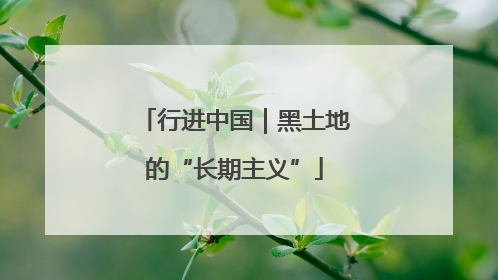 行进中国｜黑土地的“长期主义”