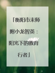 衡阳市耒师附小龙智英：阳光下的教育行者