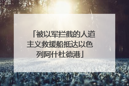 被以军拦截的人道主义救援船抵达以色列阿什杜德港