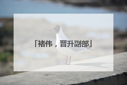 褚伟，晋升副部