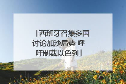 西班牙召集多国讨论加沙局势 呼吁制裁以色列