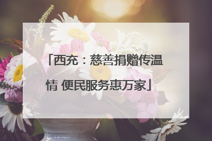 西充：慈善捐赠传温情 便民服务惠万家