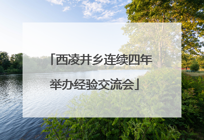 西凌井乡连续四年举办经验交流会