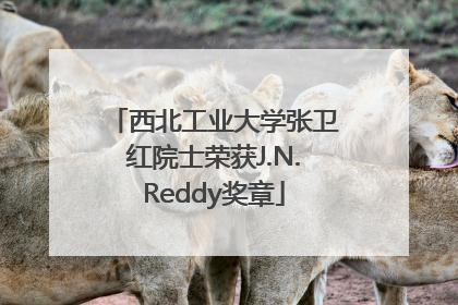 西北工业大学张卫红院士荣获J.N.Reddy奖章