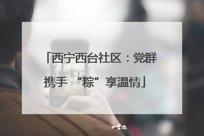 西宁西台社区：党群携手 “粽”享温情