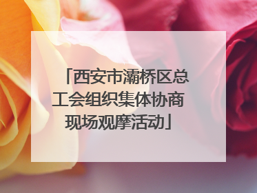西安市灞桥区总工会组织集体协商现场观摩活动