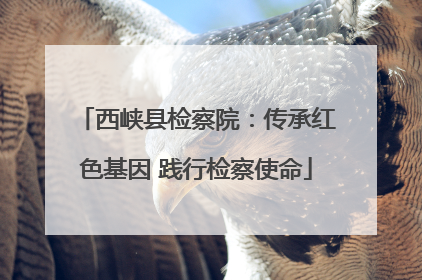 西峡县检察院：传承红色基因 践行检察使命