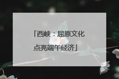 西峡：屈原文化点亮端午经济