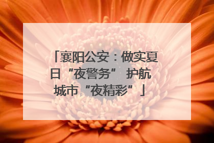 襄阳公安：做实夏日“夜警务” 护航城市“夜精彩”