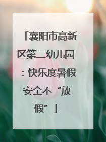襄阳市高新区第二幼儿园：快乐度暑假 安全不“放假”