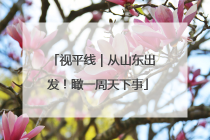 视平线｜从山东出发！瞰一周天下事