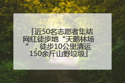 近50名志愿者集结网红徒步地“天鹅林场”，徒步10公里清运150余斤山野垃圾