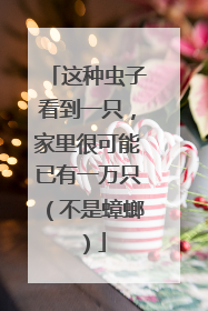 这种虫子看到一只，家里很可能已有一万只（不是蟑螂）