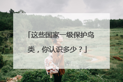 这些国家一级保护鸟类，你认识多少？