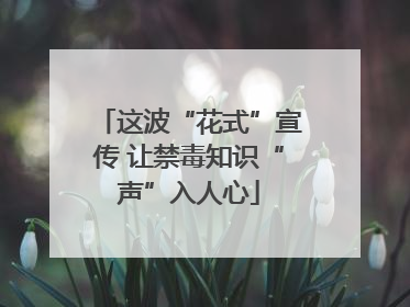 这波“花式”宣传 让禁毒知识“声”入人心